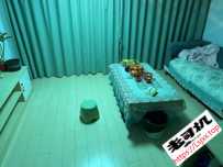 二刷智慧城兰淑